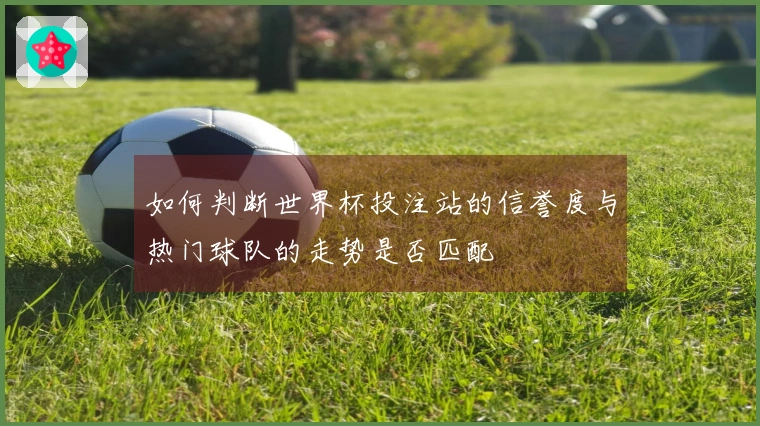 如何判断世界杯投注站的信誉度与热门球队的走势是否匹配