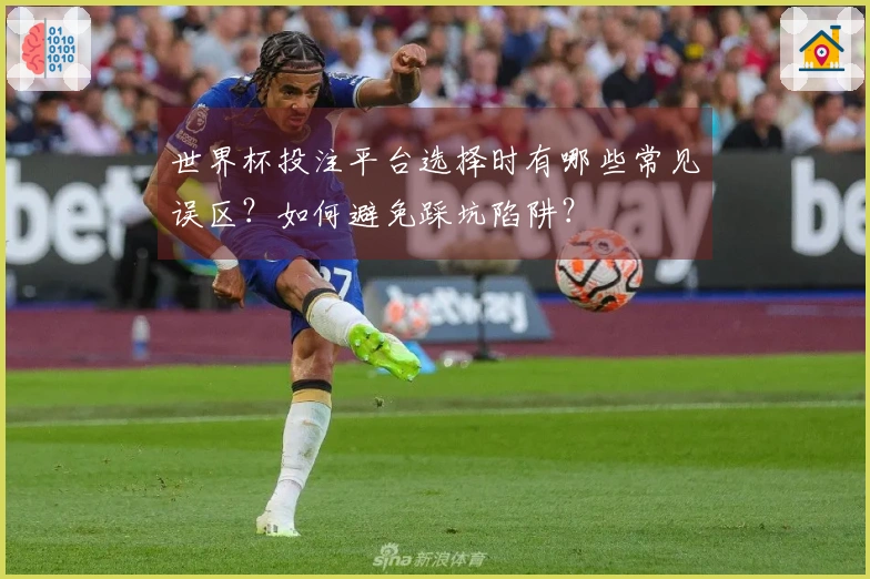 世界杯投注平台选择时有哪些常见误区？如何避免踩坑陷阱？
