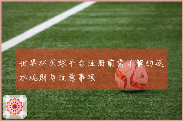 世界杯买球平台注册前需了解的返水规则与注意事项